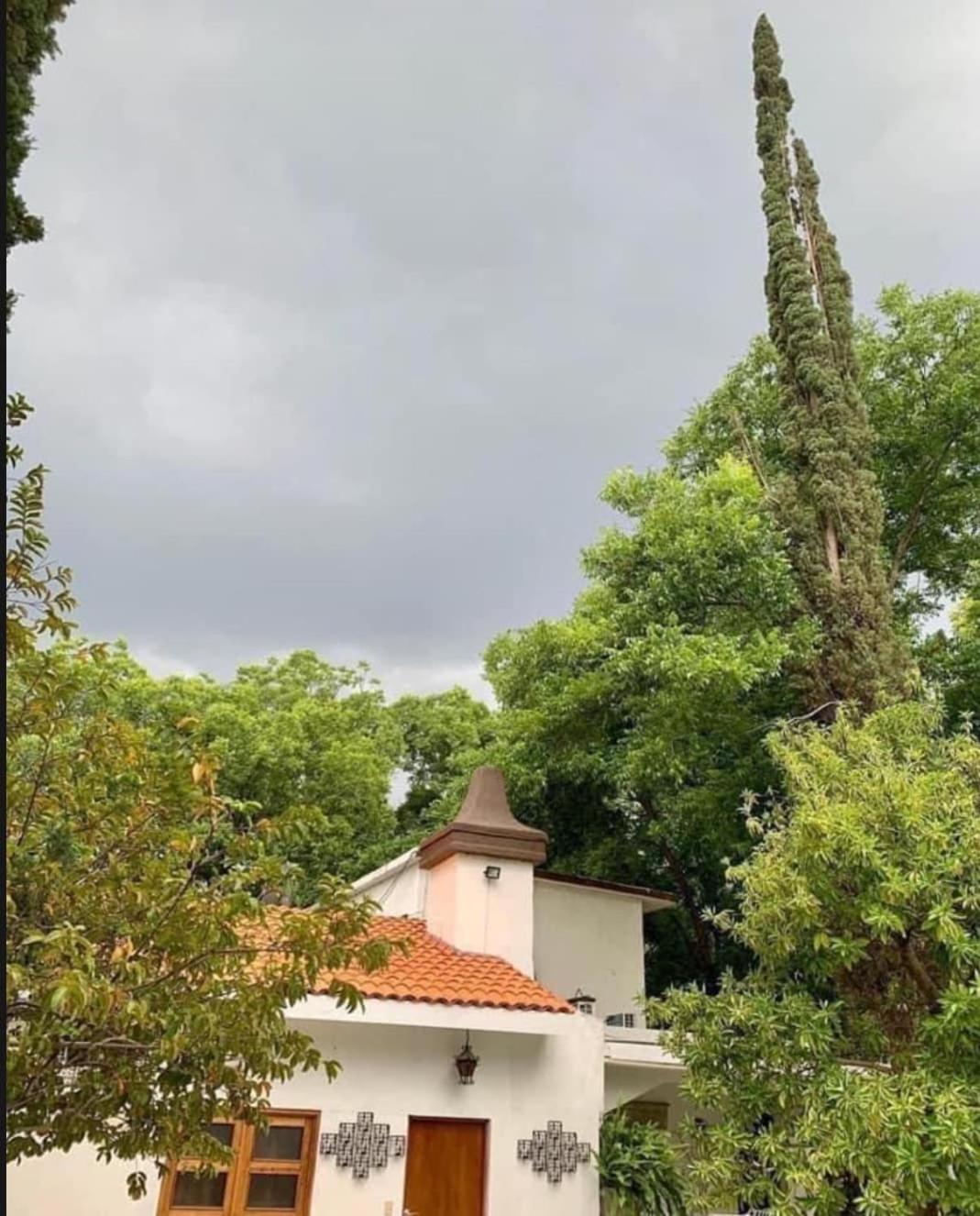 La Casita Inn Bustamante Exterior photo